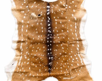 Axis Deer Hide - Select Your Exact Hide | Multiple Available