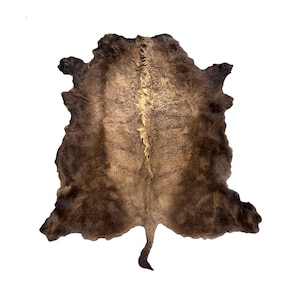 XL American Buffalo Hide Rug | Soft Shaggy Fur, Ethically Sourced image 4