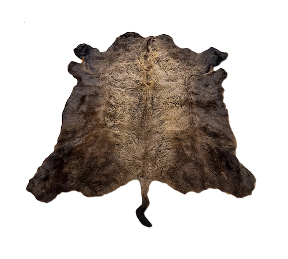 XL American Buffalo Hide Rug | Soft Shaggy Fur, Ethically Sourced