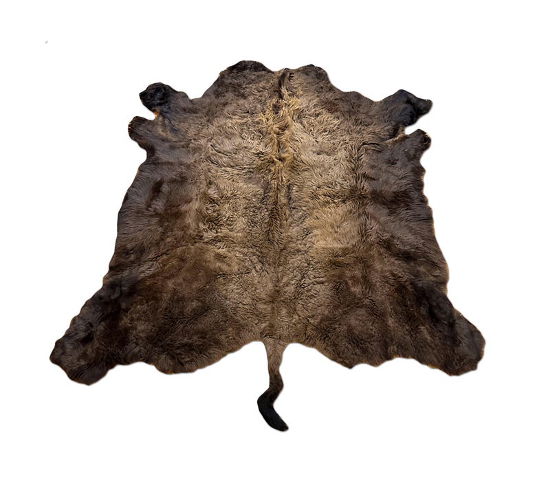 XL American Buffalo Hide Rug | Soft Shaggy Fur, Ethically Sourced image 1