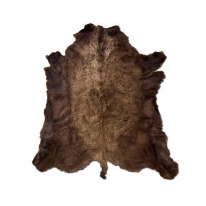 XL American Buffalo Hide Rug | Soft Shaggy Fur, Ethically Sourced image 2
