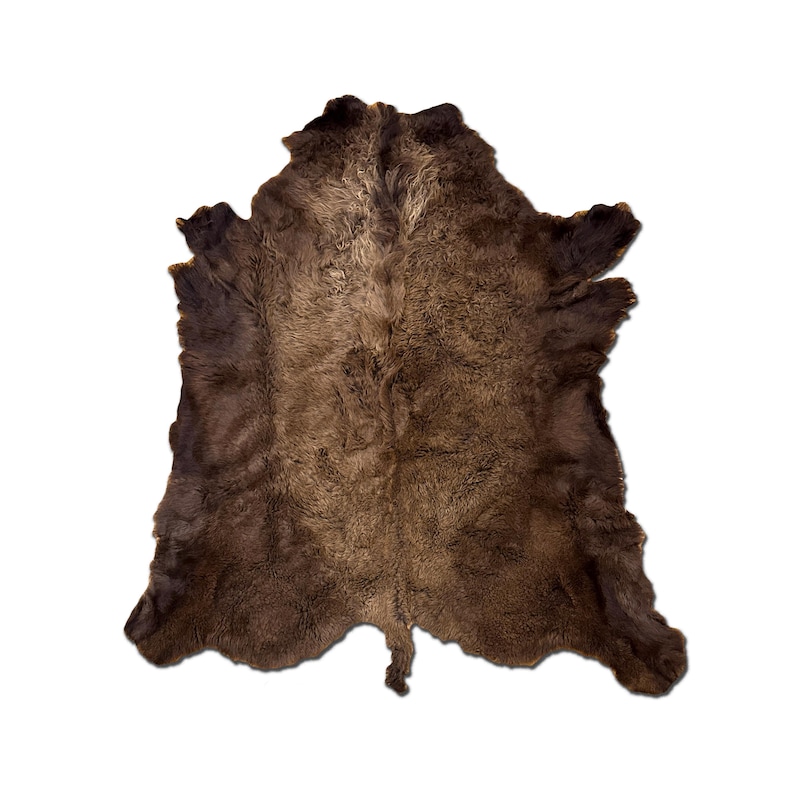 XL American Buffalo Hide Rug | Soft Shaggy Fur, Ethically Sourced image 2