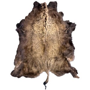 XL American Buffalo Hide Rug | Soft Shaggy Fur, Ethically Sourced image 5