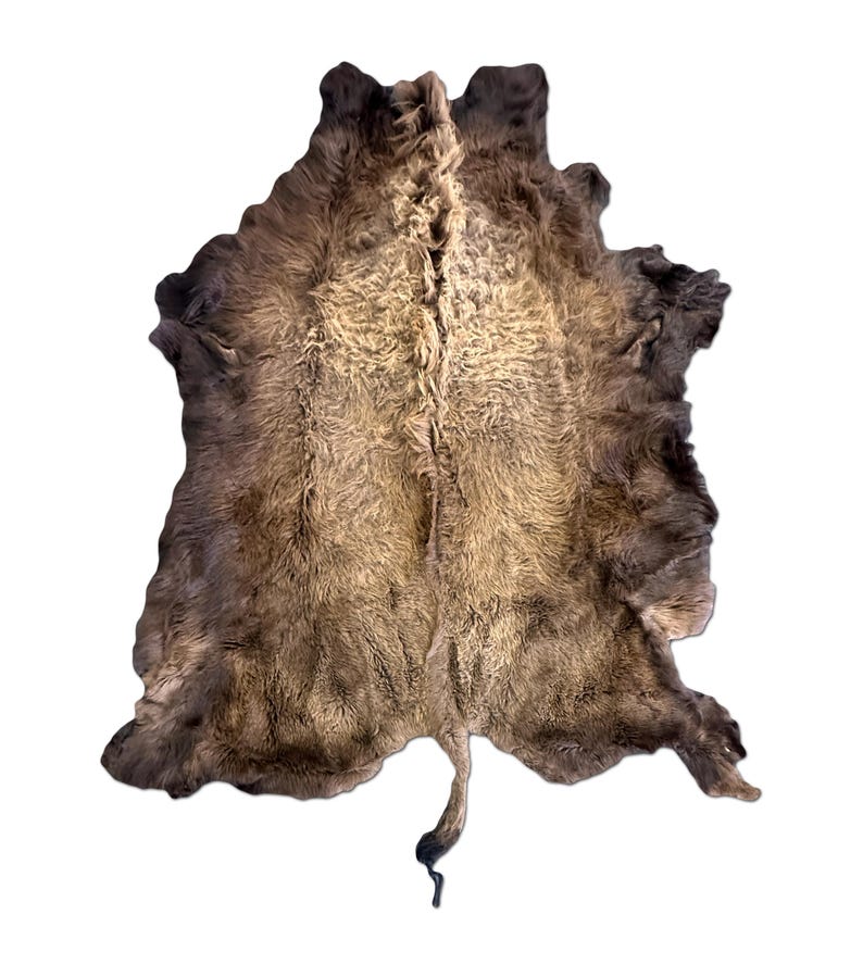 XL American Buffalo Hide Rug | Soft Shaggy Fur, Ethically Sourced image 5