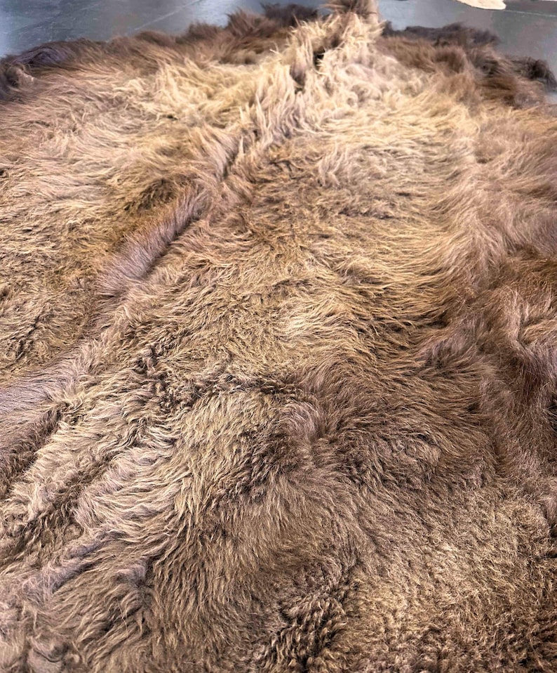 XL American Buffalo Hide Rug | Soft Shaggy Fur, Ethically Sourced image 6