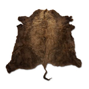 XL American Buffalo Hide Rug | Soft Shaggy Fur, Ethically Sourced image 3