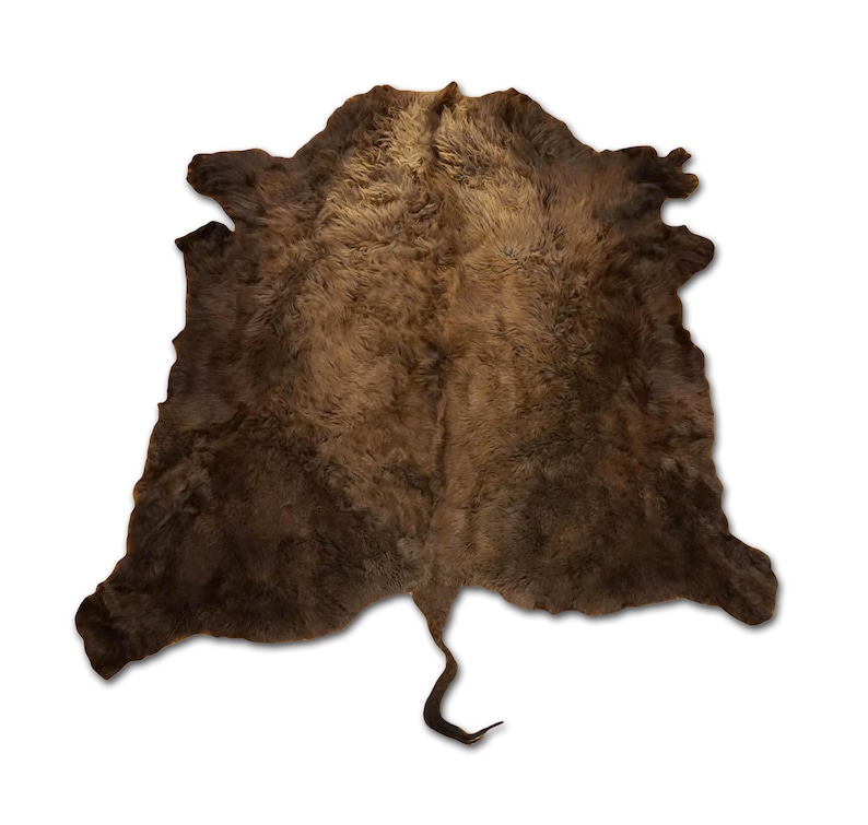 XL American Buffalo Hide Rug | Soft Shaggy Fur, Ethically Sourced image 3