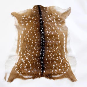 Axis Deer Hide - Select Your Exact Hide | Great Selection