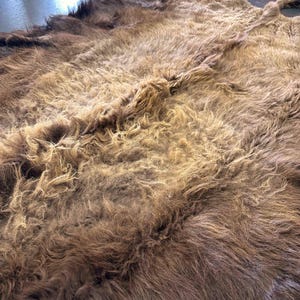XL American Buffalo Hide Rug | Soft Shaggy Fur, Ethically Sourced image 7