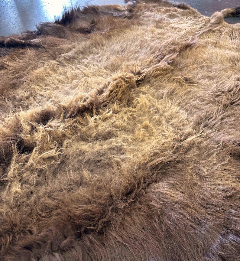 XL American Buffalo Hide Rug | Soft Shaggy Fur, Ethically Sourced image 7