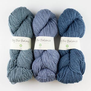 May include: Three skeins of blue yarn labeled "Big Bio Balance" organic cotton yarn.