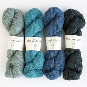 BC Garn Bio Shetland Ull
