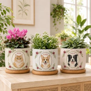May include: Three cylindrical ceramic planters with vertical light blue stripes, each resting on a circular wooden base. Each planter features a central oval frame containing a pet portrait labelled Rosie, Oliver, or Molly, with floral accents.