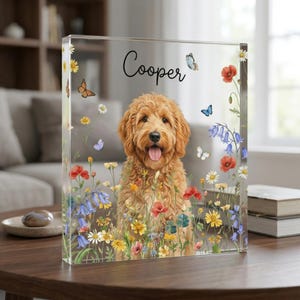 Puede incluir: Un bloque acrílico transparente con un perro golden doodle rodeado de flores y mariposas de colores. El nombre del perro, "Cooper", está escrito en cursiva. El bloque se exhibe sobre una mesa de madera.