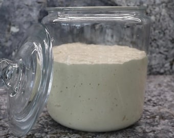 May include: A glass jar with a lid, filled with a light beige sourdough starter. The starter is bubbly and has a smooth texture.