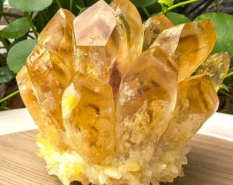 Natürliche Citrin Cluster Quarz geschnitzt Kristall Reiki Heilstein Wohnkultur Mineral Probe Kristall Geschenk Sammlung