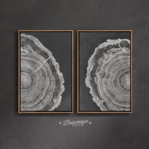 Set of 2 Tree Ring Wall Art | Modern Black White Wood Cross Section Print | Extra Large Decor | Floater Frame Canvas 32x48 60x40