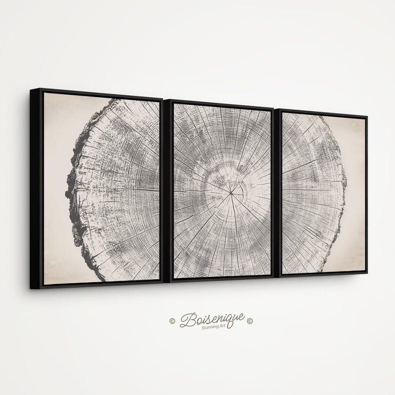 3 Pieces Golden Tree Ring Wall art | Vintage Natural Wood Framed Canvas with hanging kit