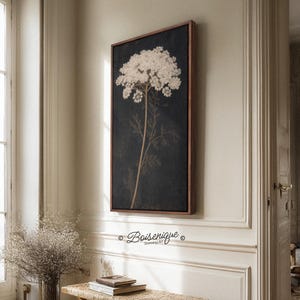 Könnte beinhalten: Ein vertikales, rechteckiges Wandbild mit einer detaillierten Illustration einer weißen Wilden Möhre vor einem dunkel anthrazitfarbenen Hintergrund, eingefasst in einen dünnen Holzrahmen. Das Kunstwerk zeigt einen einzelnen botanischen Stängel.