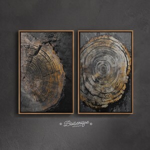 Tree Ring Framed Canvas Art: Modern Farmhouse Decor, Set of 2