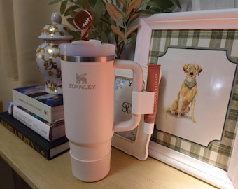 Stanley Cup Lip Balm Holder: Summer Fridays Sip, Store & More