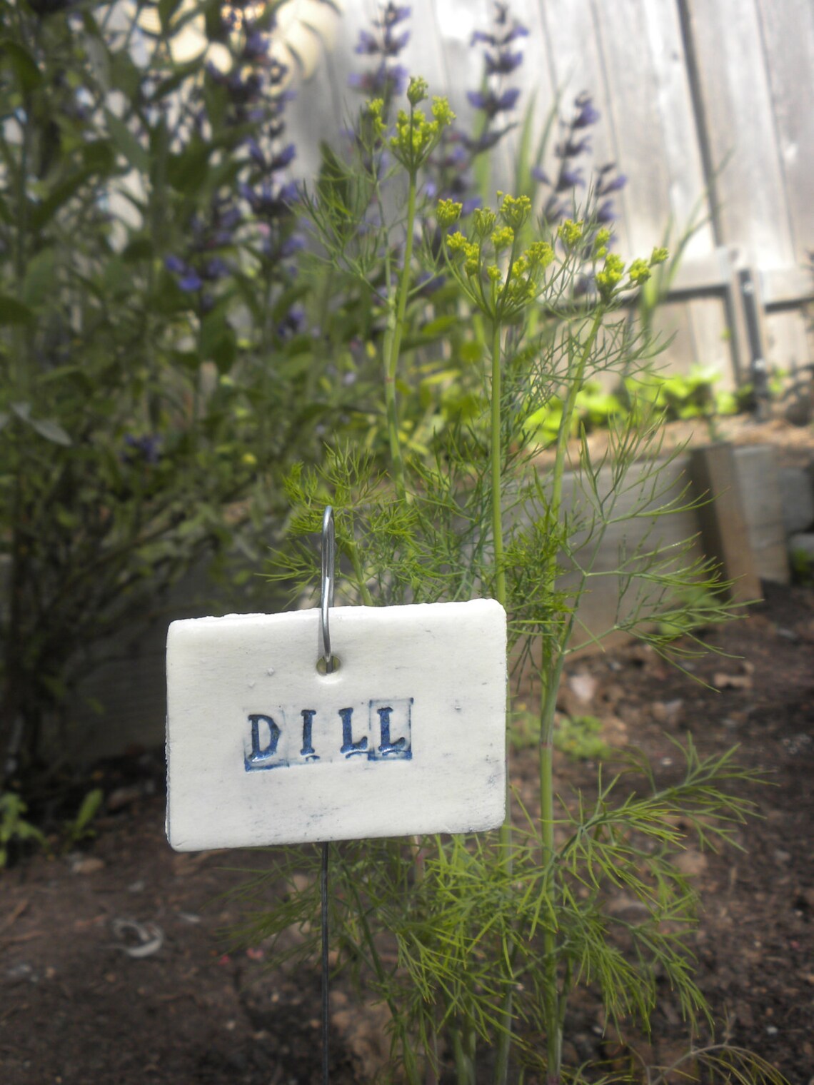 Dill Plant Marker Etsy