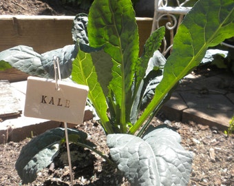 Kale Plant Marker