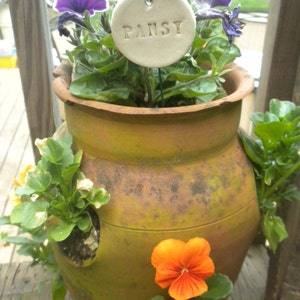 Pansy Plant Marker image 1