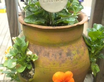 Pansy Plant Marker