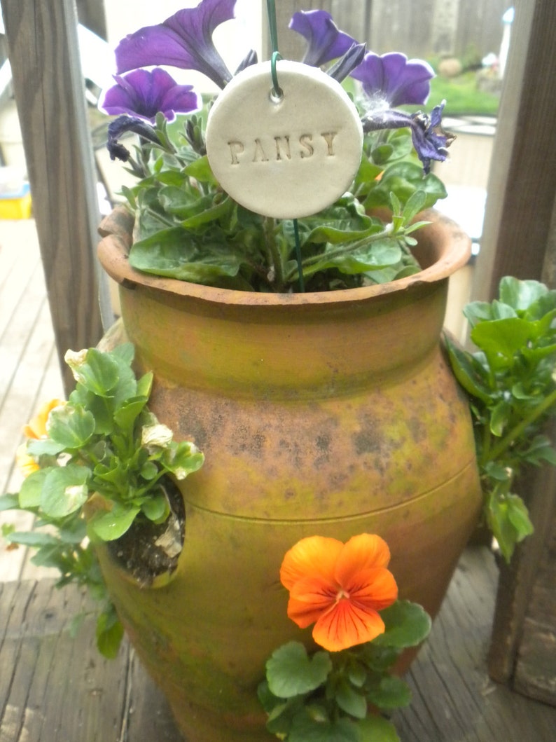 Pansy Plant Marker image 1