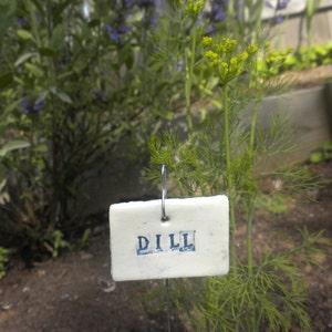 Dill Plant Marker
