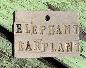 Elephant Ear Plant Marker