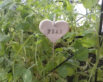 Peas Plant Marker