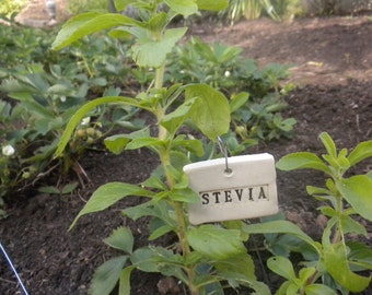 Stevia Plant Marker