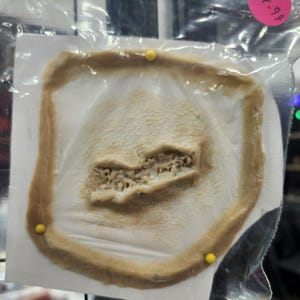 Realistic Oozing Scabby Lesions Prosthetic - silicone prosthetic