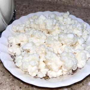 May include: A white, scalloped-edged plate filled with white kefir grains. A clear glass jar is partially visible in the background. The grains have a cauliflower-like appearance. The plate sits on a speckled countertop.