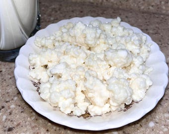 Kefir Grains 1 Teaspoon (Economic version)