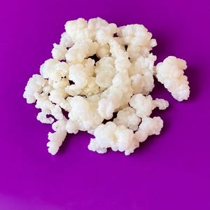 Live Milk Kefir Grains