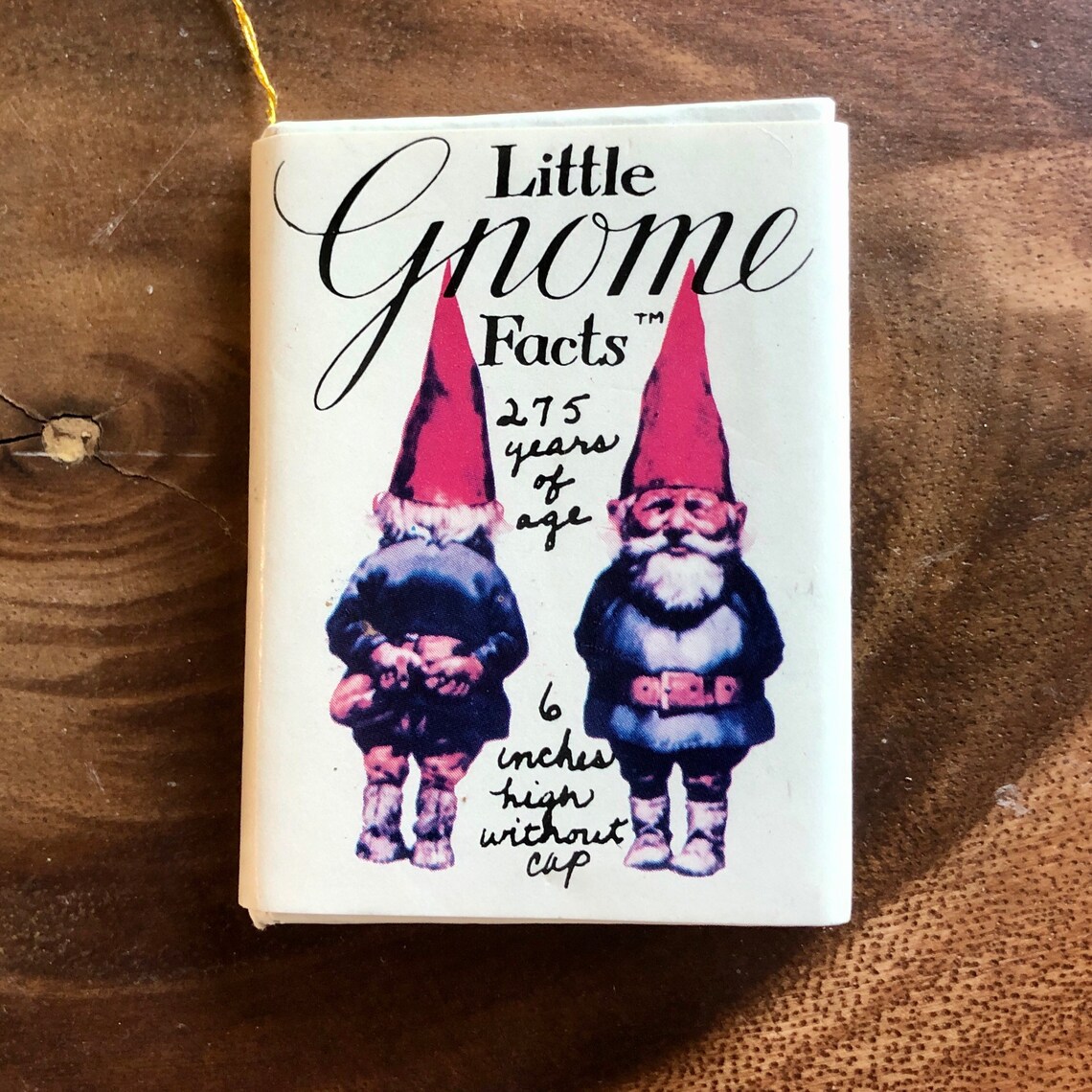 Vintage Little Gnome Facts Book Ornament Wil Huygen Rieb Etsy