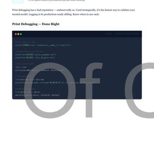Survivalgids voor Python-foutopsporing: python-pdf-e-book en html: naslaggids voor foutopsporing voor beginners tot gevorderden: direct downloaden afbeelding 12