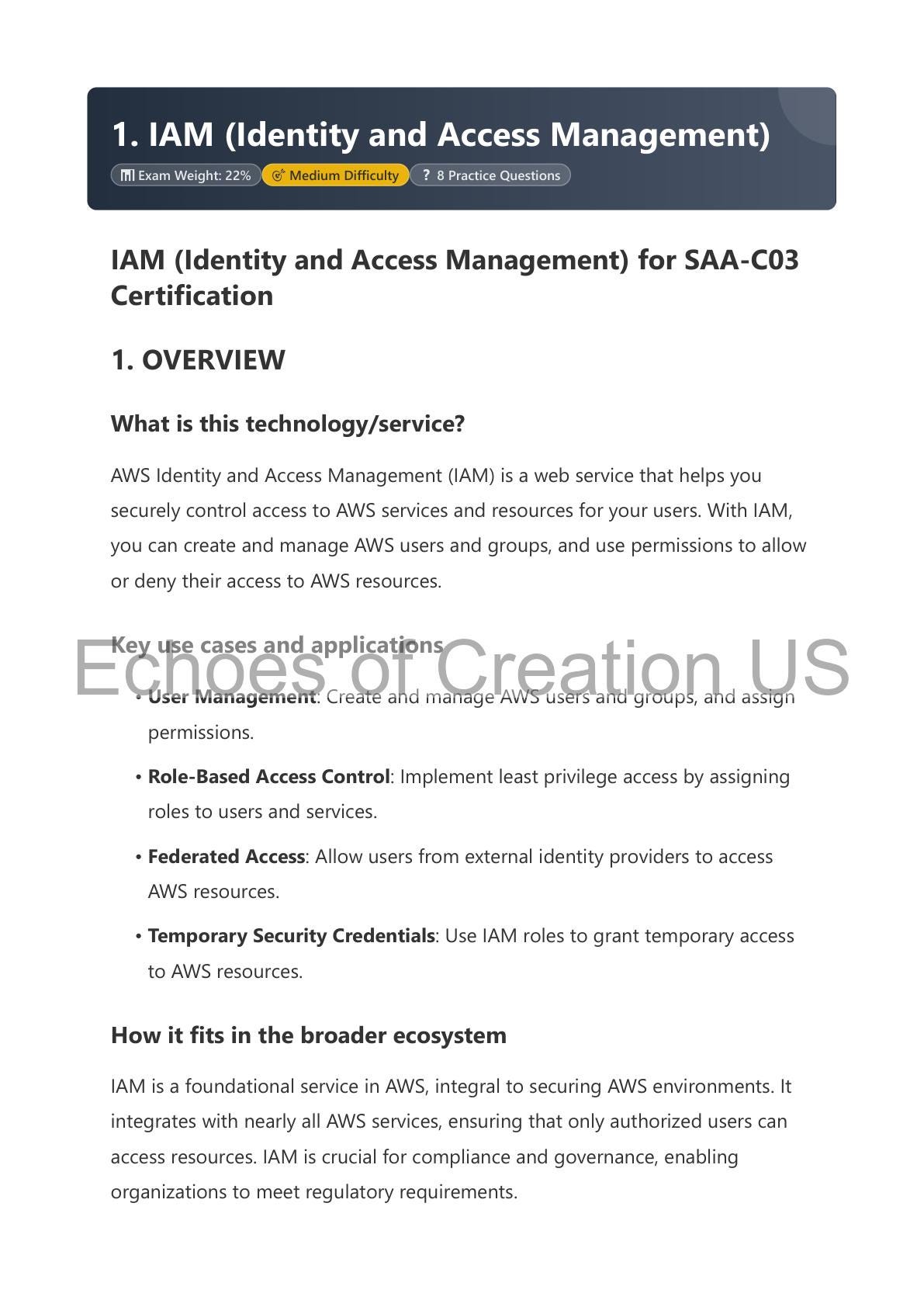 Saa Reference Example Saa Practice Paper