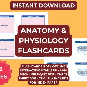 Anatomy and Physiology Flashcards | 32 Files | 800 Study Cards, Interactive HTML App - Anki Deck & Digital Download