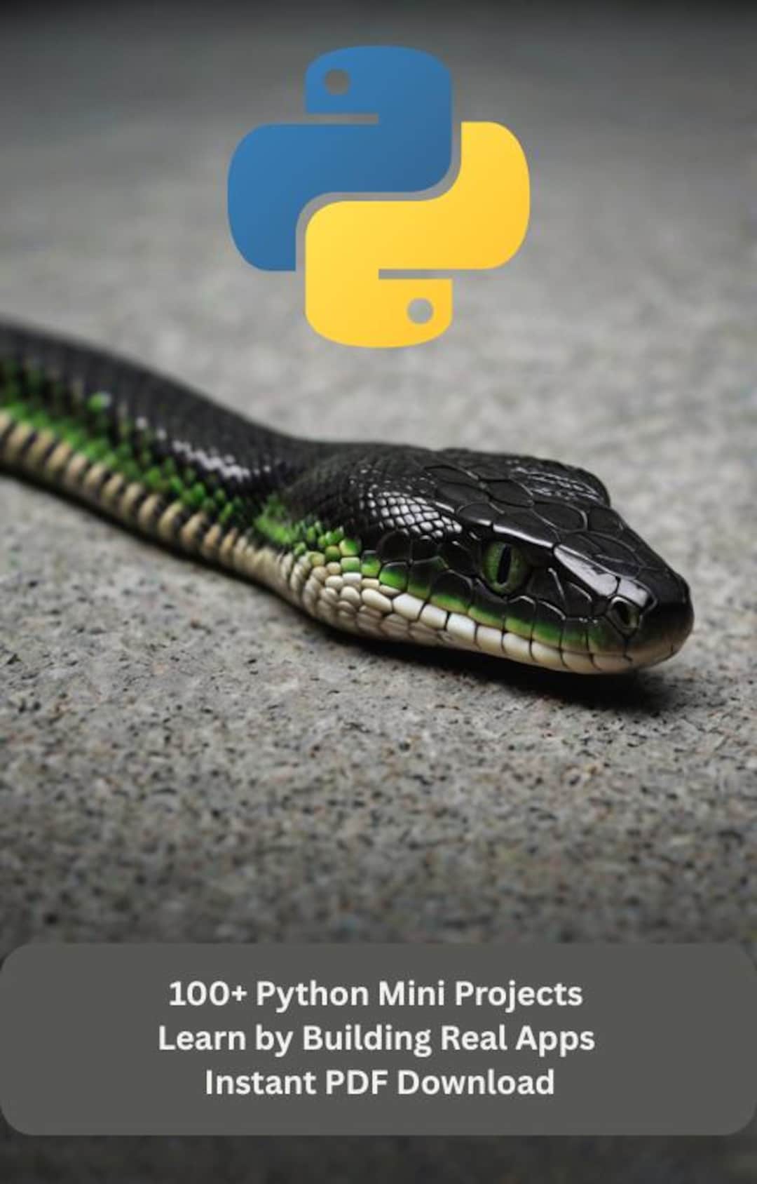 100 Python Mini Projects – Learn by Building Real Apps – Instant PDF ...