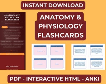 Anatomy and Physiology Flashcards | 800 Study Cards, Interactive HTML App - Anki Deck & Digital Download
