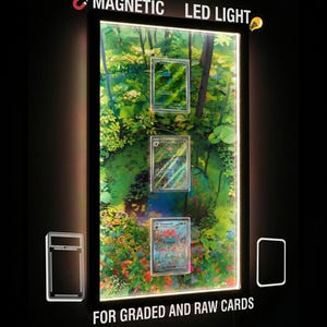May include: A rectangular black magnetic LED light display frame for graded and raw cards. The frame features a bright, illuminated background showing a lush forest pond scene with three trading cards mounted vertically in the center.