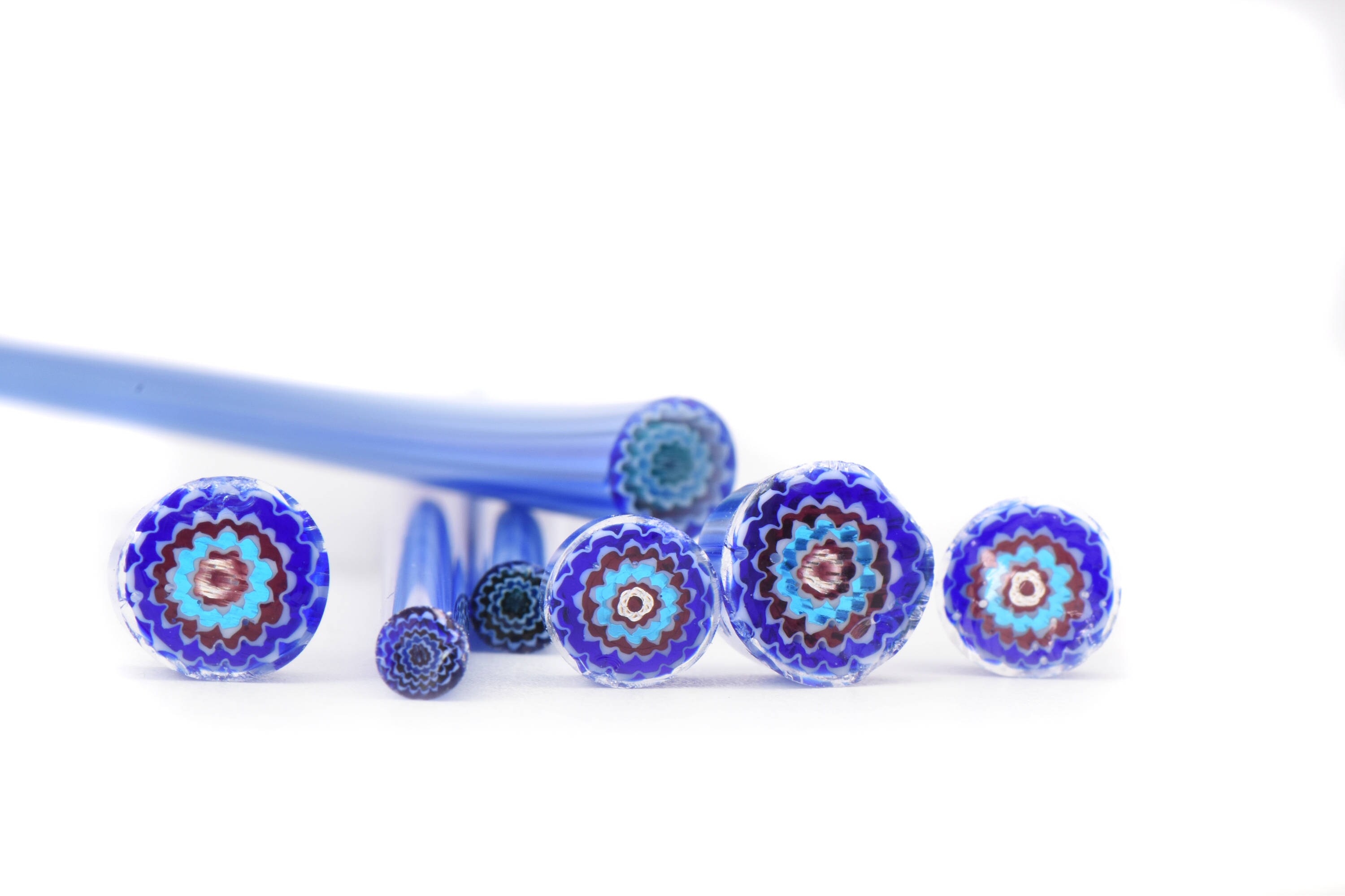 Ocean Anemone Bead and Murrini Video Tutorials in Combined - Etsy