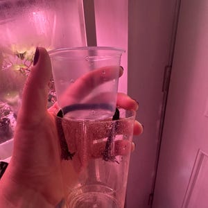 May include: A clear plastic cup with a black band around the middle, sitting inside a larger clear plastic cup.