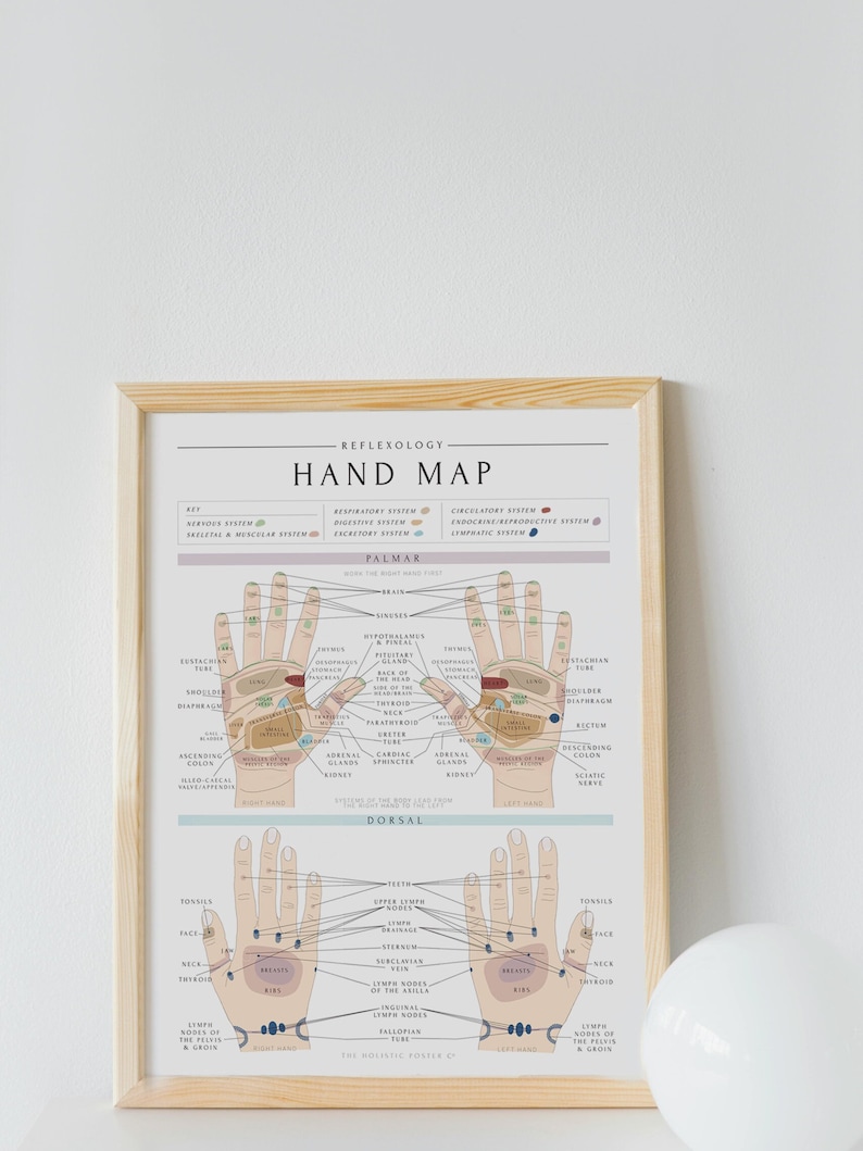May include: A printable chart showing a hand map for reflexology. The chart shows the location of different body parts on the hands, including the brain, lungs, heart, stomach, and intestines. The chart is in a wooden frame and is on a white background.