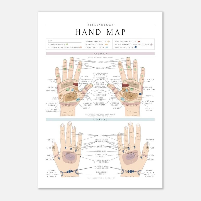 Reflexology Hand Map/Chart Print A1 (59.4 x 84.1  cm)
