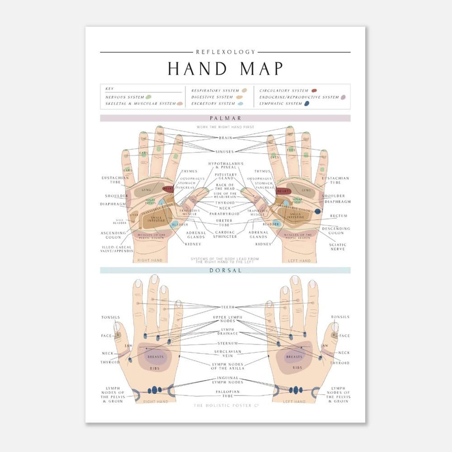 Reflexology Hand Map.pdf Reflexology Hand Map/chart Print - Etsy